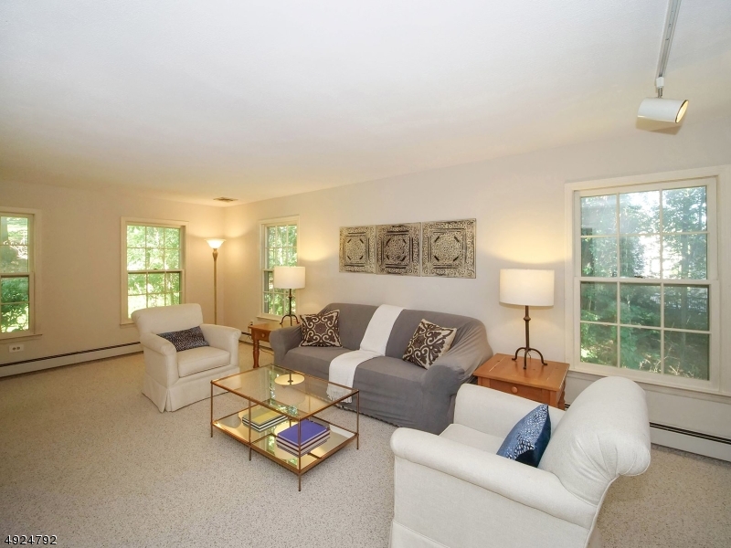 MOONEY MOUNTAIN - Residential
