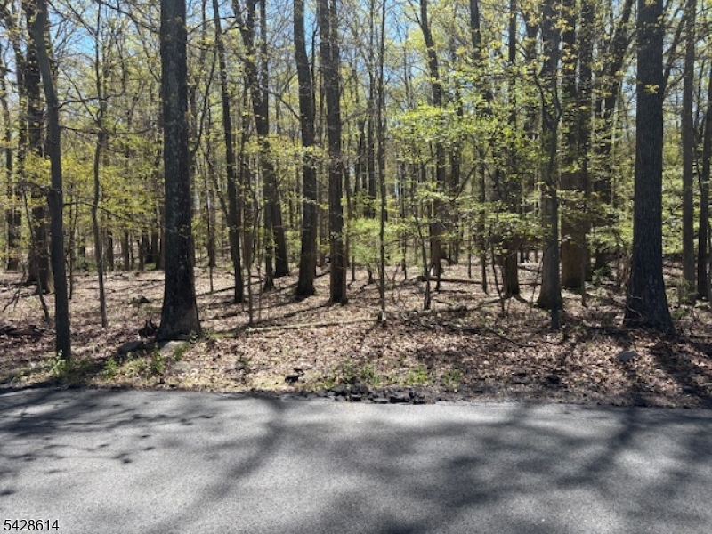 Beautiful heavily wooded lot in neighborhood of newer and older well kept homes. Property is level and rises gently to the rear.