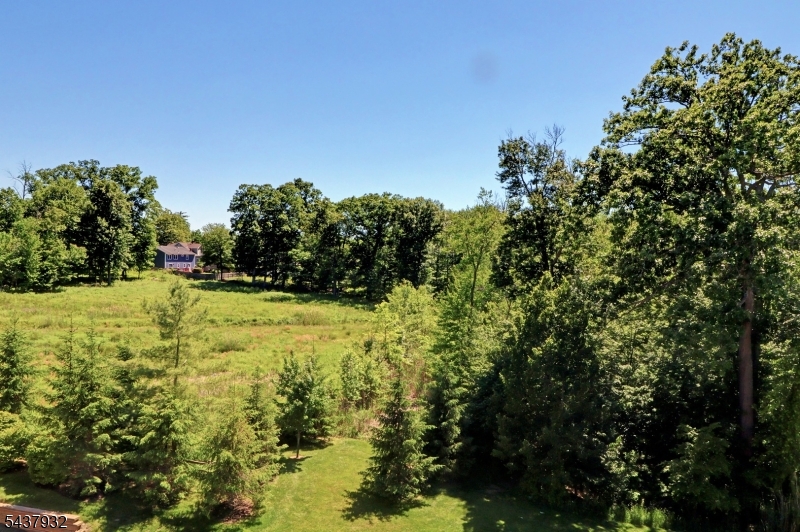The Pointe - Residential