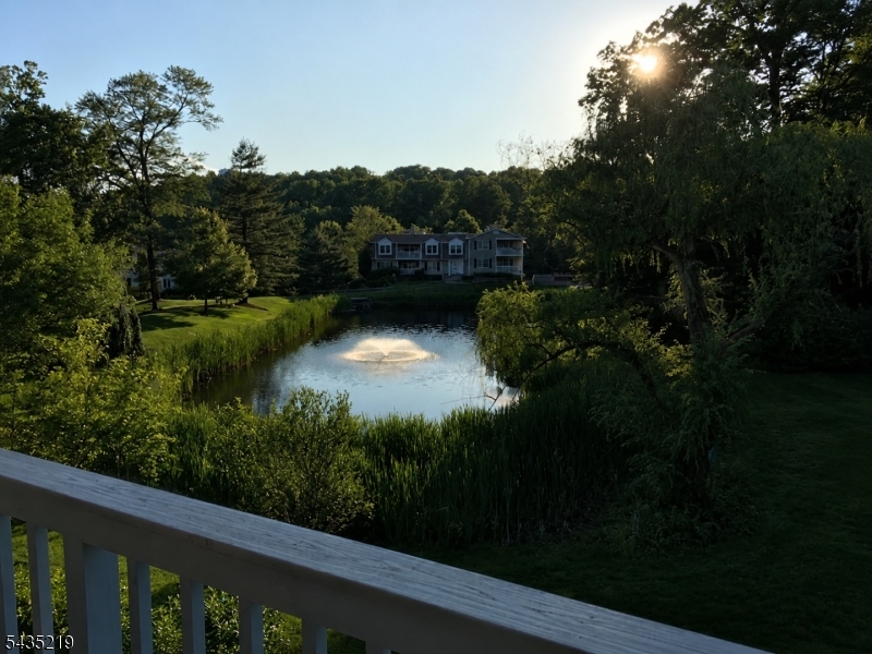 Welcome to Heritage Greene in Chatham Twp! This light filled 1-bedroom, 1-bathroom condo offers a flexible floor plan for work from home, updated kitchen and bath, wood burning fireplace, and in unit, full size washer/dryer. Enjoy sunsets from your private balcony overlooking the pond and easy access to the amenities and walking path. Conveniently located close to the thriving downtowns of both Chatham and Summit with restaurants, shopping and the mid-town direct train.