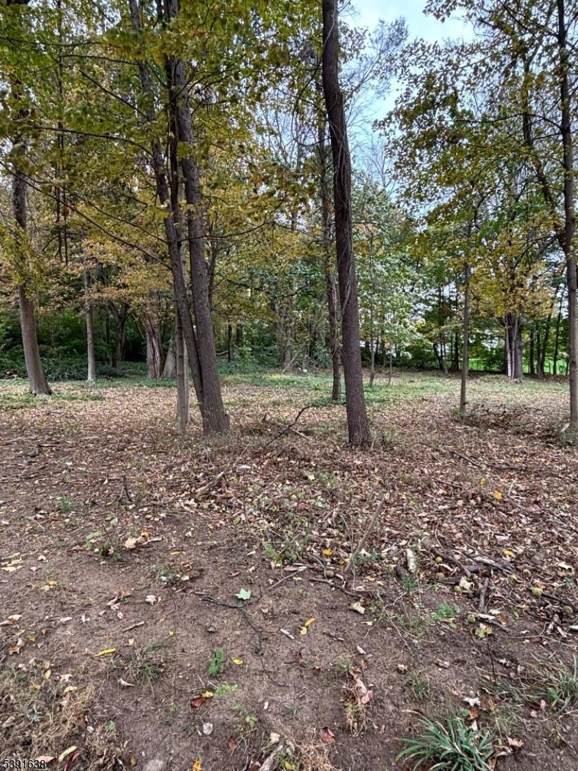 56-60 Spring Valley Rd - Land