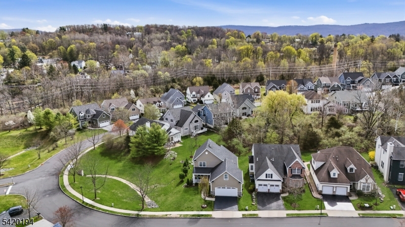 The Bluffs at Ballyowen - Residential