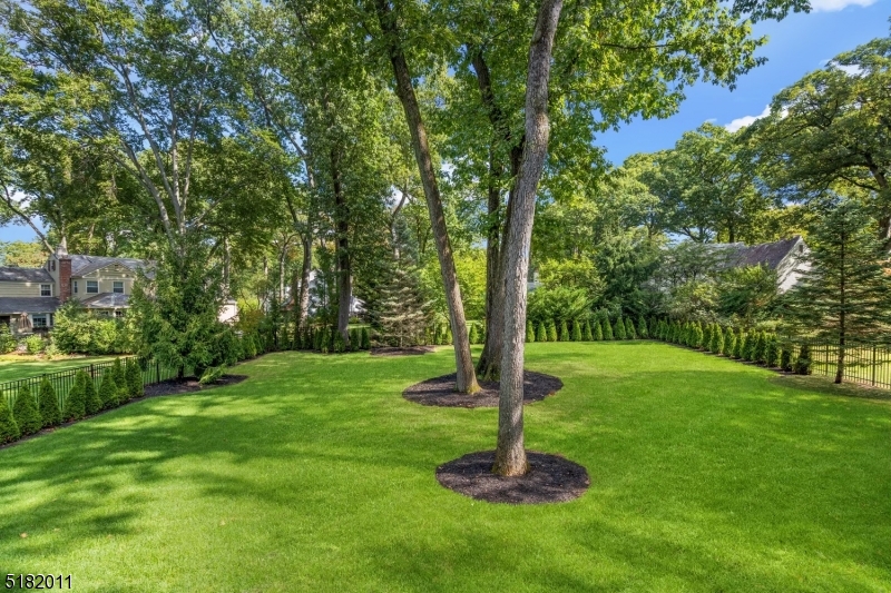 North Side/Wychwood - Residential