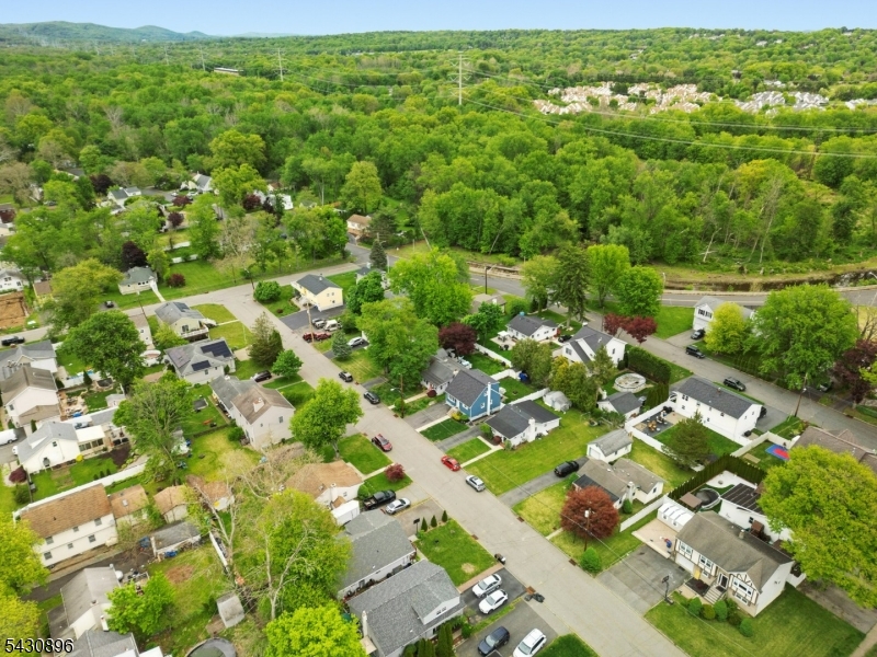 Lake Hiawatha - Residential