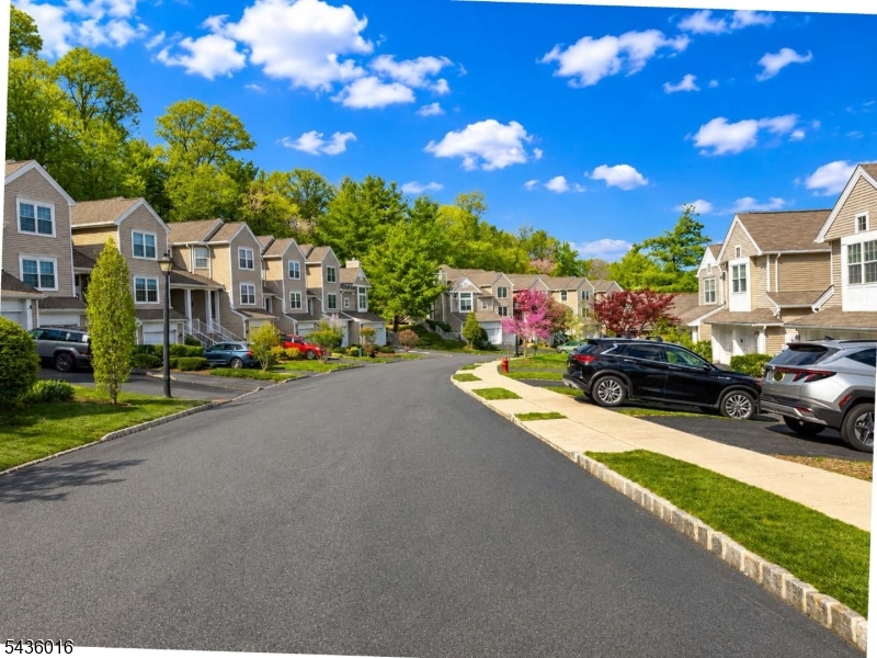 Woodmont Townhomes Randolph - Residential