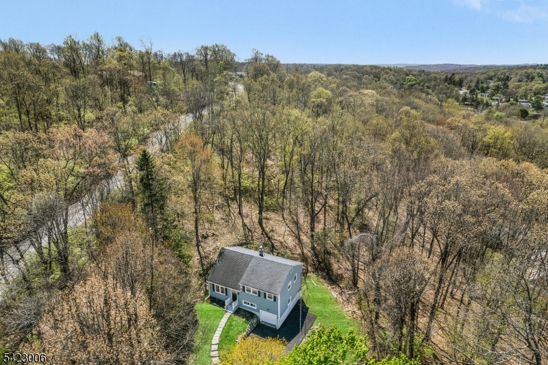 Beautifully renovated 4-bedroom, 2-bath split-level on 1.9 private acres w/no HOA! Surrounded by mature trees, this move-in ready home offers privacy, comfort, and modern updates. A welcoming foyer opens to a spacious living rm, formal dining room, & updated kitchen featuring stainless steel appliances & white cabinetry extending into the dining area for added storage. 3 generously sized bedrms & an updated full bath are on the second level. The private primary suite occupies its own level w/an updated bath, oversized closet area, & walk-up access to a floored attic offering abundant storage. Hardwood floors run throughout most of the home. The lower level features a den/home office, walkout laundry/utility rm, crawlspace access, & entry to the attached 1-car garage. Sliding doors lead to a deck overlooking green space surrounded by woods & rock outcroppings, perfect for relaxing or entertaining. The expansive property offers endless possibilities for gardening, recreation, future expansion, or exploring your own wooded acreage. Located on a quiet dead-end street w/no through traffic, the home also features a newly paved driveway w/ample parking. Major updates include a new high-efficiency propane/NG boiler (2026), central A/C (2026), HW heater (2025), roof (2018), copper plumbing, & more. Natural gas has recently been installed on the street for easy conversion. Approximately 1,675 sq. ft. of usable living space per floor plan. Furniture negotiable. Quick closing available!