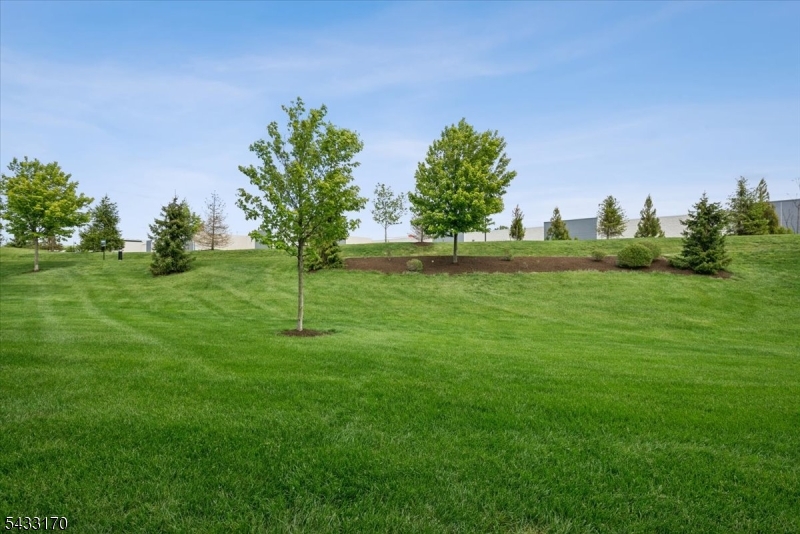 COLLECTION AT MORRISTOWN - Residential