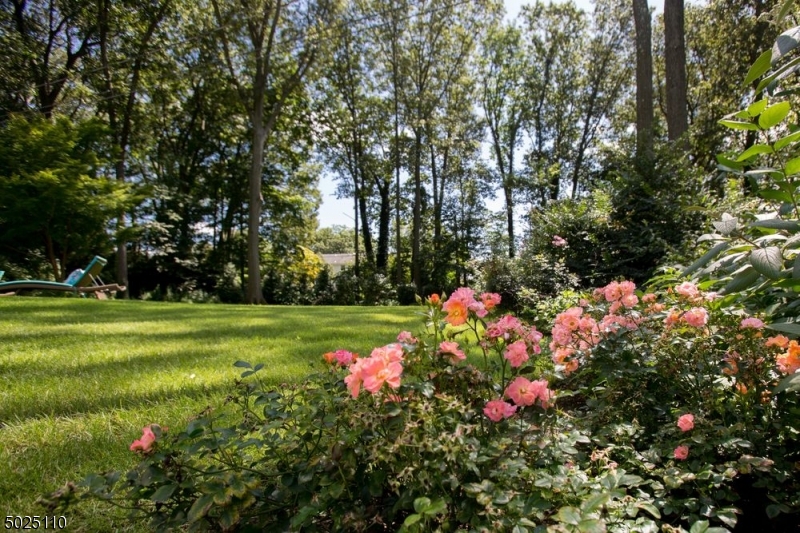 Yantacaw Section - Residential