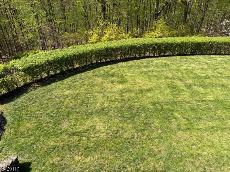 The Hill Section - Residential