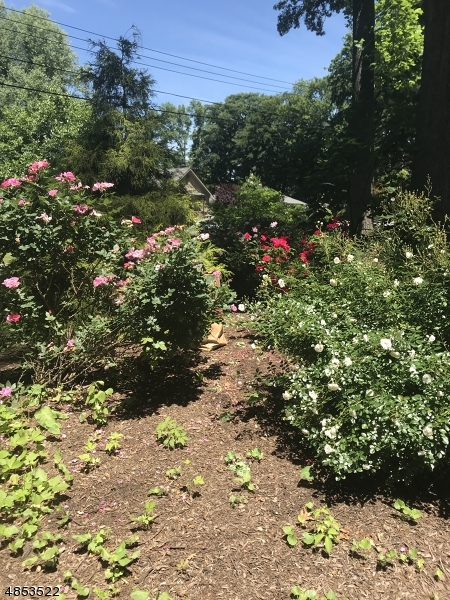 Lake Intervale - Residential