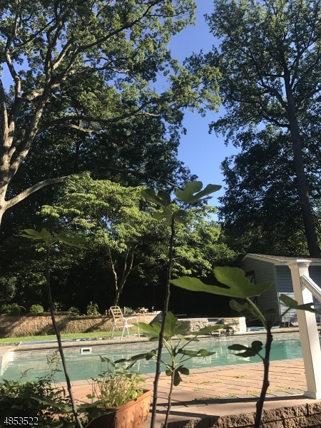Lake Intervale - Residential