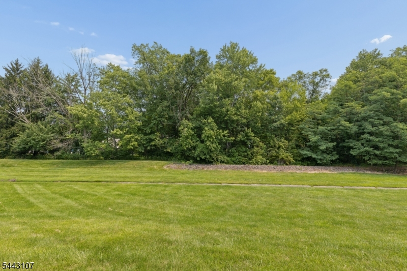 Braemar At Berkeley Heights - Residential