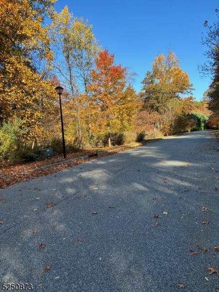 Estates at Valhalla - Land