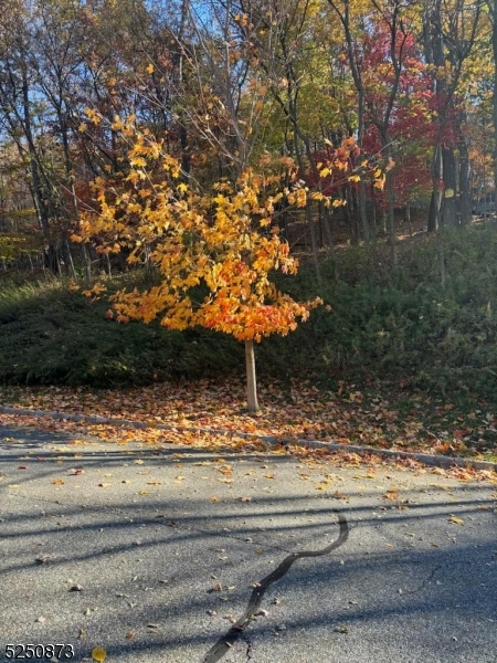 Estates at Valhalla - Land