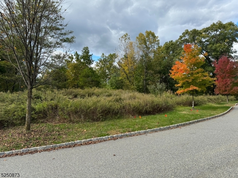 Estates at Valhalla - Land