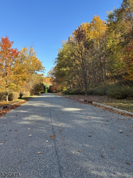 Estates at Valhalla - Land