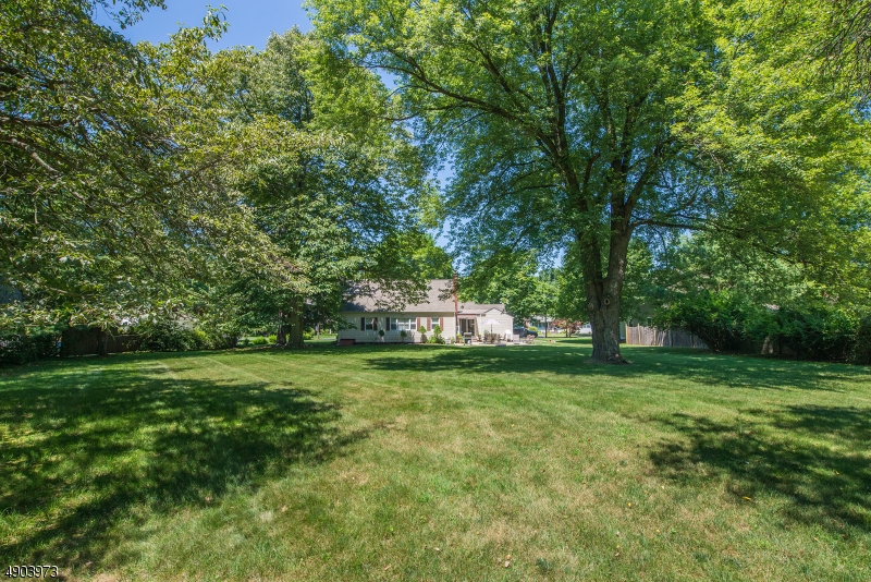 Forest Park - Residential