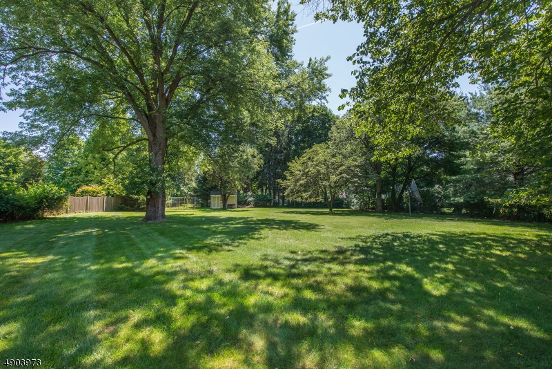 Forest Park - Residential