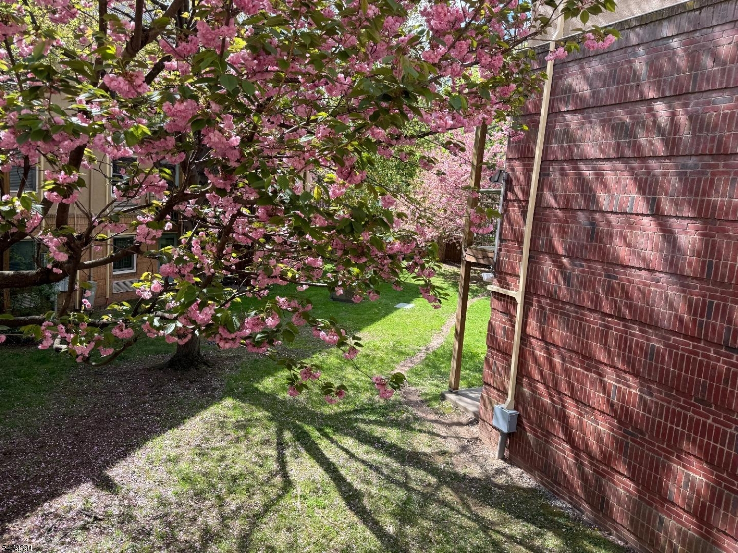 Montclair Mews - Residential