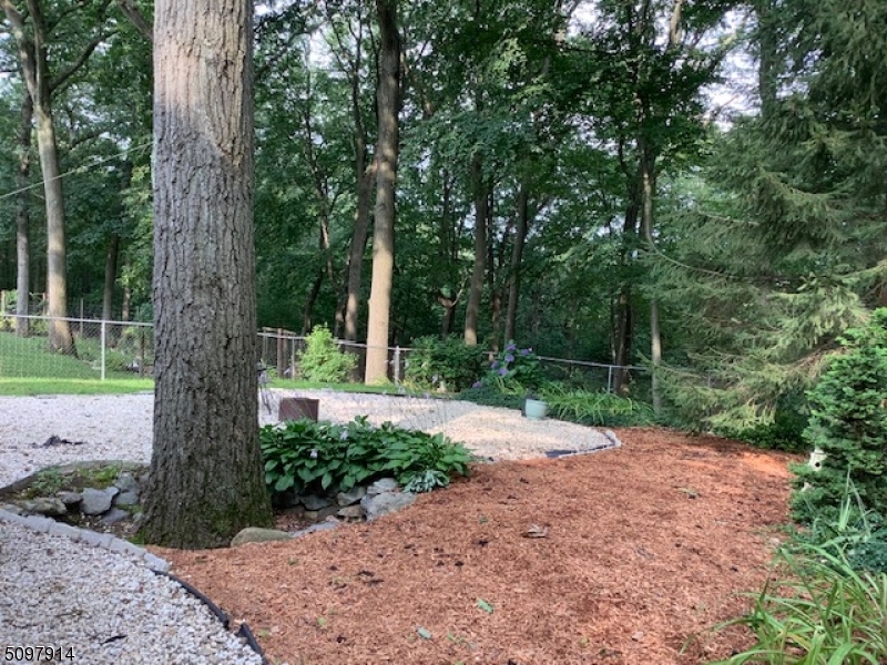 Cedar Lake - Residential