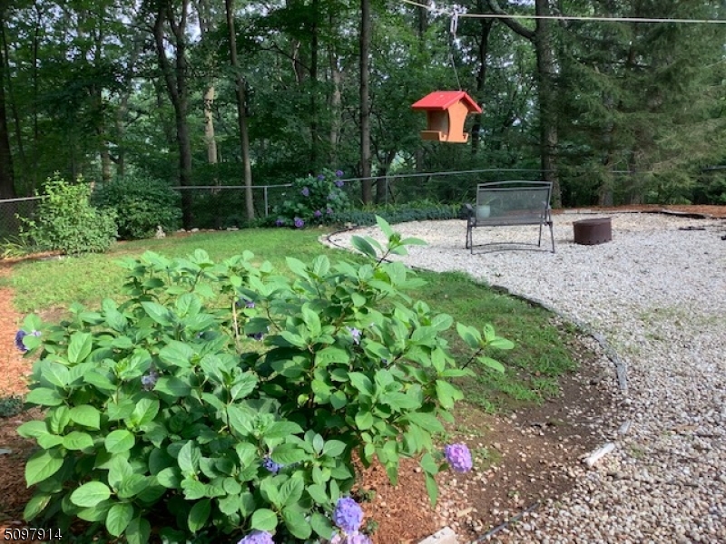 Cedar Lake - Residential