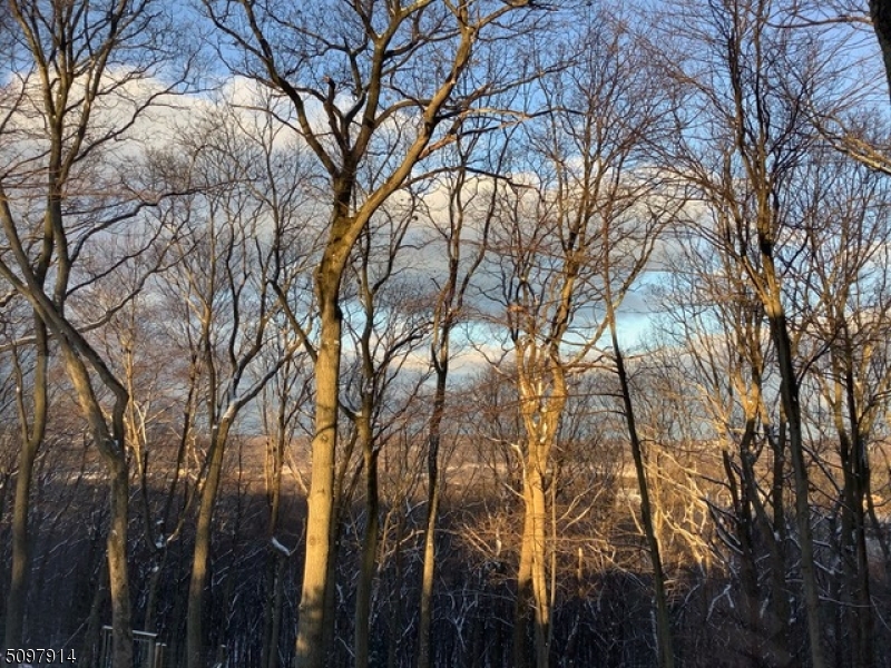 Cedar Lake - Residential