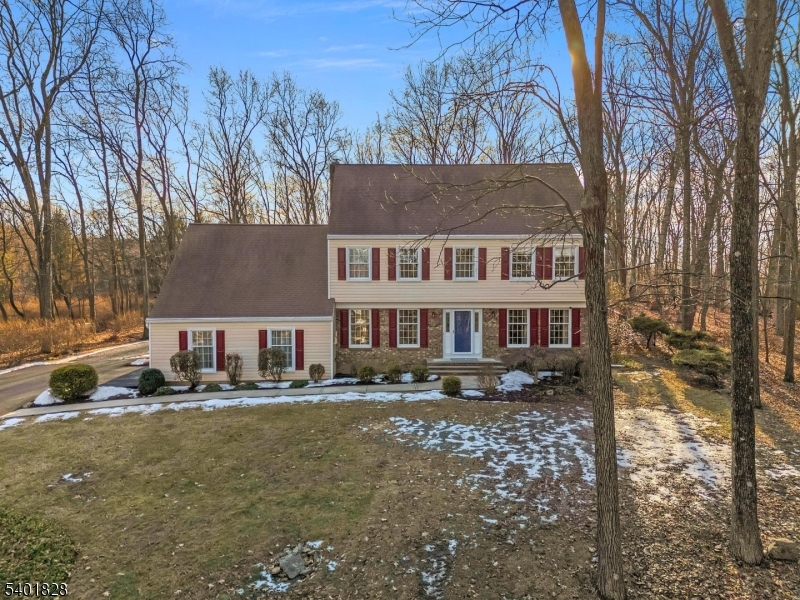 Impeccably maintained and beautifully updated colonial has so much to offer!  Almost 2 acres of quiet and wooded privacy, 24 X 40 Pole barn with electric, garage space and workshop, 20 X 25 deck overlooking beautiful fenced backyard.  Updated kitchen with quartz countertops and stainless appliances, hardwood floors, incredible great room with vaulted ceiling and wood burning fireplace, updated powder room, laundry room, dining room with beautiful formal wainscotting and living room/office space on first floor.  Primary bedroom suite has 2 double closets plus huge walk-in closet and updated full bath with jetted tub shower.  3 additional spacious bedrooms and large guest bath, along with pull down stairs to attic storage complete the 2nd floor.  Basement has large finished space and unfinished storage room with workshop.  Multi-zone System 2000 boiler, central air, 2024 newly paved driveway, Roth oil tank with natural gas expected in near future, septic system certified in 2025, well pump 2024, see media for complete list of updates/upgrades.