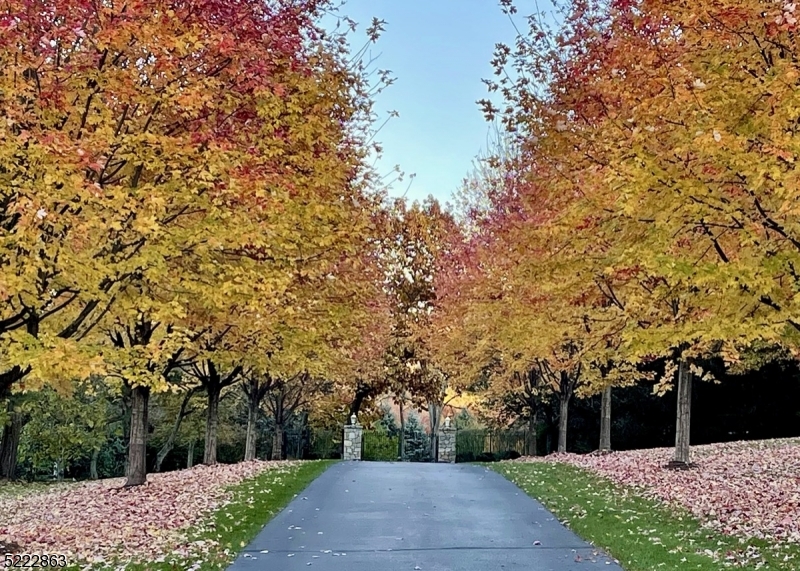 Bernardsville Mountain - Residential