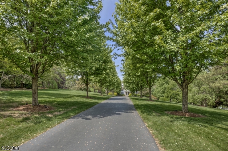 Bernardsville Mountain - Residential