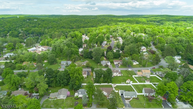 Lake Saginaw - Residential