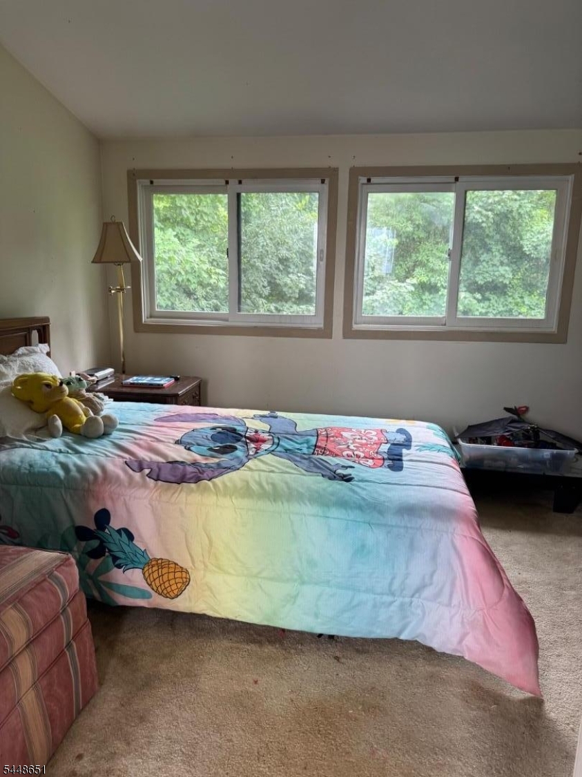 Great Gorge, Mountain Creek - Residential