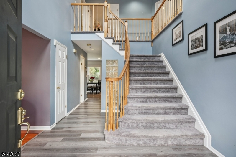 Scotch Plains Border - Residential