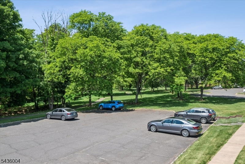 Alexandria At Hillsborough - Residential