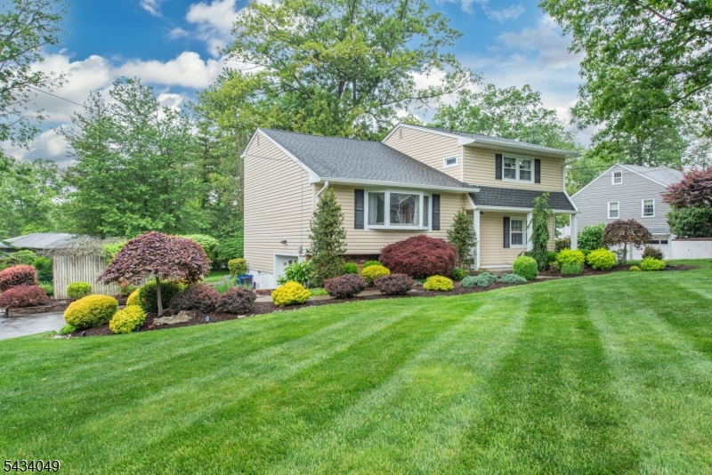 Pine Brook - Residential