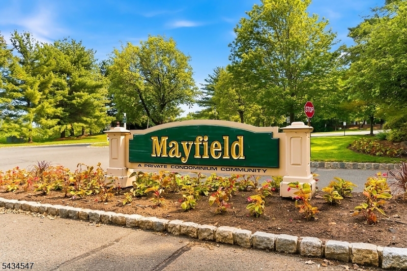 Mayfield - The Hills - Residential