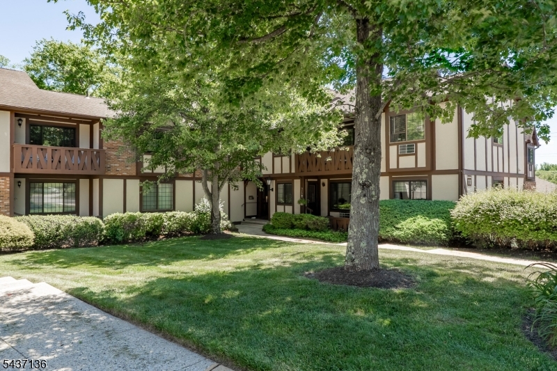 Welcome home to this FIRST FLOOR meticulously maintained Briarwood unit. Nicely painted, this unit offers an eat-in kitchen, dining and living rooms with large window vistas, a spacious primary bedroom with WIC, nicely updated bathroom and in-unit laundry. There is also a private terrace for outdoor relaxation overlooking near-by woods/parkland. Two wall unit air conditioners for a comfortable climate, a one car inside entrance garage and a storage unit are also included. While living in this beautifully maintained community, enjoy the manicured grounds, community pool, patio area, tennis courts, playground and clubhouse. Convenient to both Chatham train and within 5 minutes of downtown Chatham and New Providence, with both communities offering vibrant small business and fine dining.