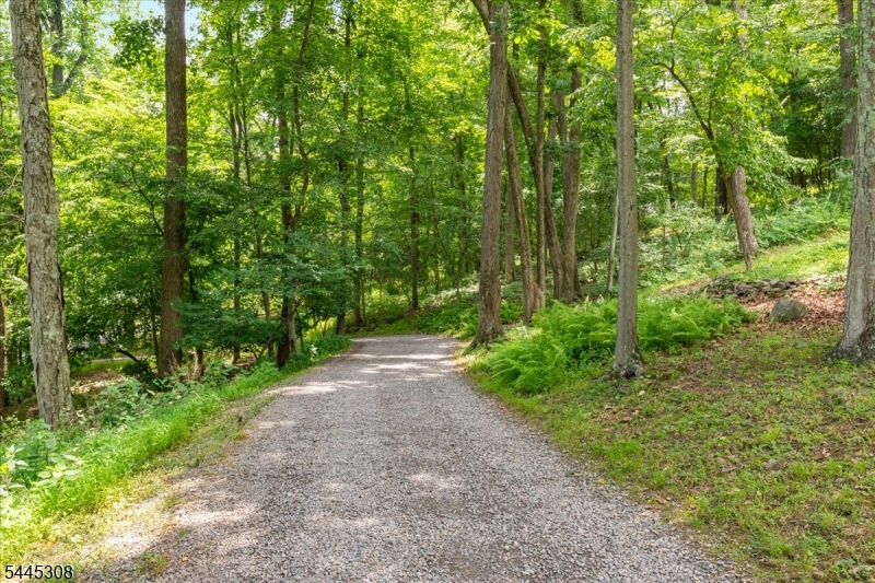Teetertown Ravine - Residential