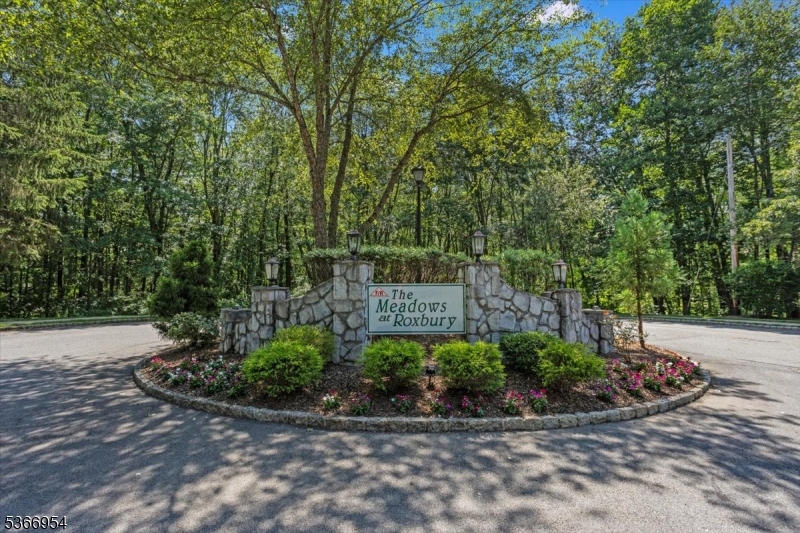 The Meadows At Roxbury - Residential