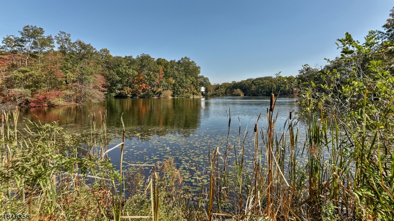 Morse Lakes - Residential
