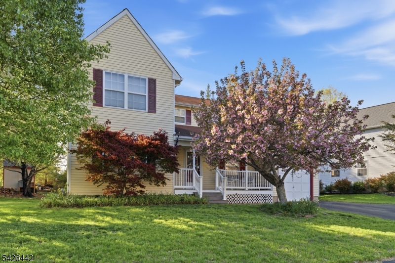 Old Towne - Residential