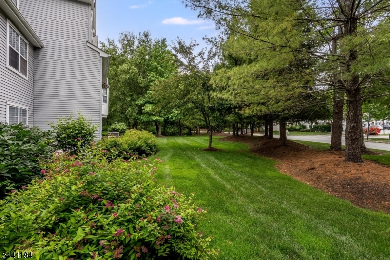 Willow Walk - Residential