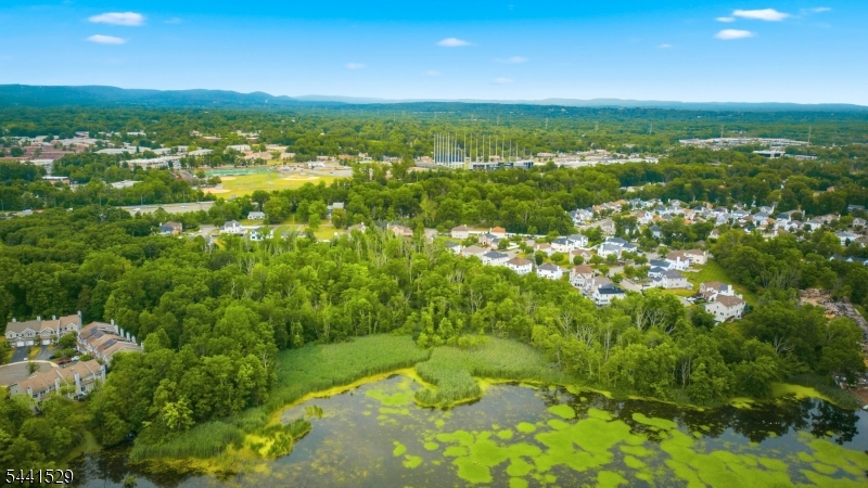 Forge Pond - Residential