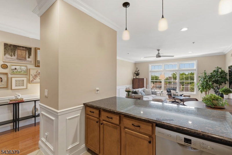 Springfield Commons - Residential