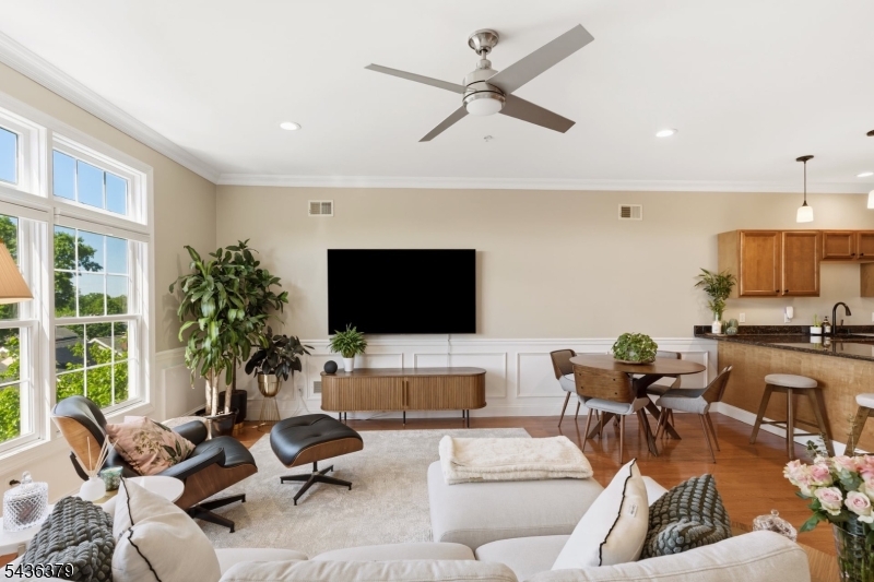 Springfield Commons - Residential