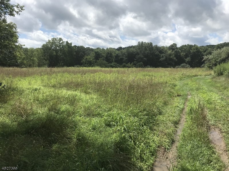 Two lots totaling 20+ acre prime development site. Adjacent to Andover Town Hall and First Hope Bank. Traffic Count is 15,000+ cars per day.  Zoned CB; some permitted uses include Banks, business offices, medical offices, child-care centers, schools, greenhouses, religious, restaurants, retail and Single Family Residence.  Almost 1,700 feet on highway frontage. Two parcels of contiguous property totaling 20.39 Acres; there is some wetlands onsite.  See DOCUMENTS for Site Map and CB ZONE PERMITTED USES.