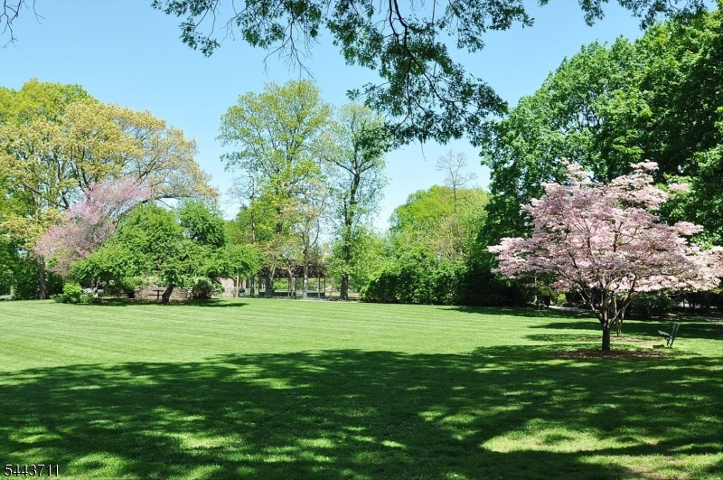 Radburn - Residential