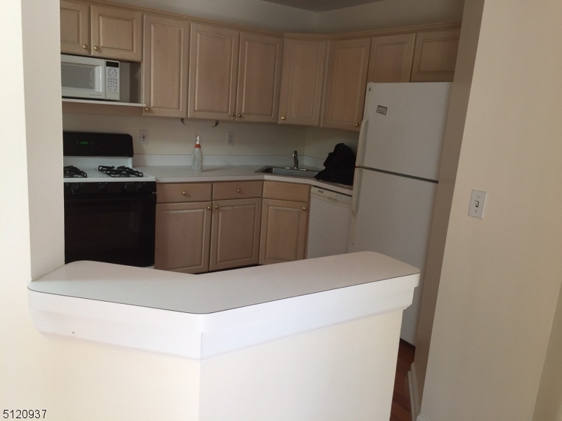 Spring Ridge - Residential Lease