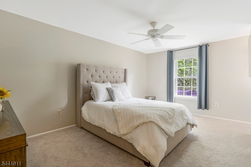 Olde Towne at Countryside - Residential