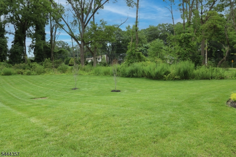 Collections - Residential Lease