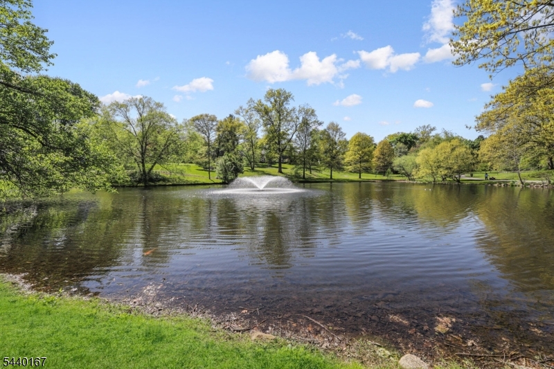 Yantacaw Brook - Residential